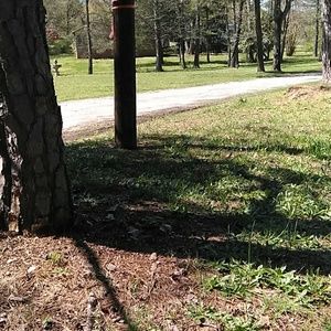 Meet your Posher, Antwon